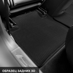 Левый пассажир