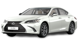 2D коврики EVA в салон на Lexus ES VII (2018-н.в.)