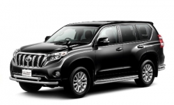 3D коврики EVA с бортами в салон  на Toyota Land Cruiser Prado 150 (2009-н.в.)