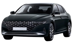 2D коврики EVA в салон и багажник  на Hyundai Grandeur VI рестайлинг (2019-2023)